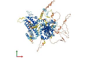 Protein Structure (PS) image for Retinoblastoma-Like 1 (p107) (RBL1) (AA 1-1068) protein (His tag) (ABIN7555121)