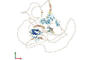 Protein Structure (PS) image for Basonuclin 1 (BNC1) (AA 1-961) protein (His tag) (ABIN7562387)