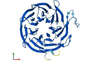Protein Structure (PS) image for Cytosolic Iron-Sulfur Protein Assembly 1 (CIAO1) (AA 1-339) protein (His tag) (ABIN7560343)