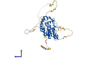 AlphaFold protein structure predicition of Human Recombinant HS3ST4 Protein, UniprotID Q9Y661