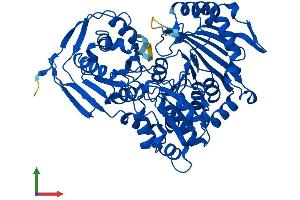 AlphaFold protein structure predicition of Mouse Recombinant Pgm5 Protein, UniprotID Q8BZF8