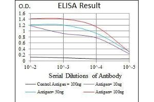 Black line: Control Antigen (100 ng), Purple line: Antigen(10 ng), Blue line: Antigen (50 ng), Red line: Antigen (100 ng), (PAX5 抗体  (AA 235-382))