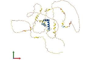 AlphaFold protein structure predicition of Mouse Recombinant Irx1 Protein, UniprotID P81068