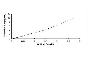 Typical standard curve (ATF4 ELISA 试剂盒)