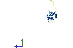 AlphaFold protein structure predicition of Human Recombinant FCER2 Protein, UniprotID P06734