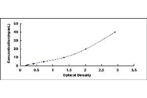 Typical standard curve (ARHGDIB ELISA 试剂盒)
