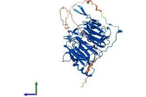 AlphaFold protein structure predicition of Mouse Recombinant Rcc2 Protein, UniprotID Q8BK67