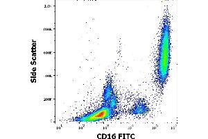 Flow cytometry surface staining pattern of human peripheral whole blood stained using anti-human CD16 (3G8) FITC antibody (4 μL reagent / 100 μL of peripheral whole blood).