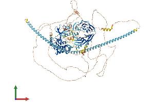 Protein Structure (PS) image for TRAF2 and NCK Interacting Kinase (TNIK) (AA 1-1360) protein (His tag) (ABIN7555793)