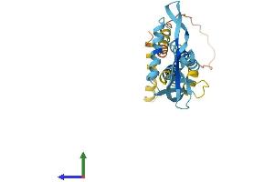 Protein Structure (PS) image for Potassium Large Conductance Calcium-Activated Channel, Subfamily M beta Member 3 (KCNMB3) (AA 1-279) protein (His tag) (ABIN7554231)