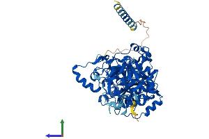 Protein Structure (PS) image for Udp-N-Acetyl-alpha-D-Galactosamine:polypeptide N-Acetylgalactosaminyltransferase 1 (GalNAc-T1) (Galnt1) (AA 1-559) protein (His tag) (ABIN7562224)
