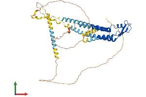 Protein Structure (PS) image for Gap Junction Protein, gamma 2, 47kDa (GJC2) (AA 1-440) protein (His tag) (ABIN7558824)