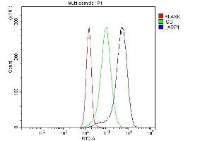 Flow Cytometry analysis of JK cells using anti-LARP1 antibody (ABIN7599861).