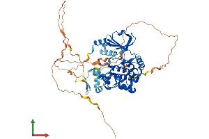 Protein Structure (PS) image for PAK3 (PAK3) (AA 1-559) protein (His tag) (ABIN7563896)