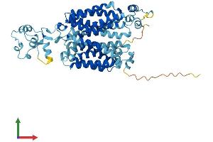 Protein Structure (PS) image for Solute Carrier Family 22 (Organic Cation Transporter), Member 2 (SLC22A2) (AA 1-553) protein (His tag) (ABIN7562576)