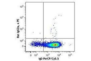 Flow Cytometry (FACS) image for anti-B-Cell CLL/lymphoma 6 (BCL6) antibody (PE) (ABIN2662403) (BCL6 抗体  (PE))