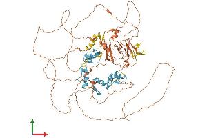 Protein Structure (PS) image for PR Domain Containing 4 (PRDM4) (AA 1-801) protein (His tag) (ABIN7550984)