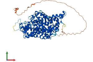 Protein Structure (PS) image for Solute Carrier Family 6 (Neurotransmitter Transporter, serotonin), Member 4 (SLC6A4) (AA 1-630) protein (His tag) (ABIN7555372)