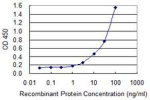 Detection limit for recombinant GST tagged ACTB is 0. (beta Actin 抗体  (AA 1-375))
