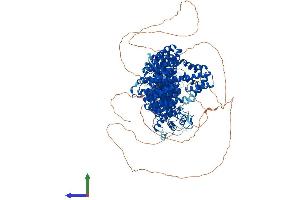 Protein Structure (PS) image for PDS5, Regulator of Cohesion Maintenance, Homolog B (PDS5B) (AA 1-1447) protein (His tag) (ABIN7554898)