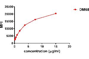 anti-Tumor Necrosis Factor (Ligand) Superfamily, Member 9 (TNFSF9) (AA 52-254) antibody