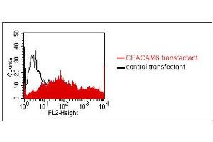 FACS analysis of BOSC23 cells using 9A6. (CEACAM6 抗体)