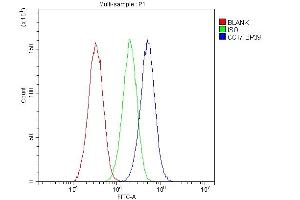 Flow Cytometry analysis of HepG2 cells using anti-CCT7 antibody (ABIN5692966). (CCT7 抗体  (AA 30-307))
