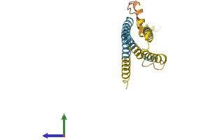 Protein Structure (PS) image for CKLF-Like MARVEL Transmembrane Domain Containing 3 (CMTM3) (AA 1-184) protein (His tag) (ABIN7560374)