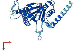 Protein Structure (PS) image for Proteasome Subunit alpha  7 (PSMA7) (AA 1-248) protein (His tag) (ABIN7555088)