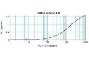 Image no. 3 for anti-Interleukin 16 (IL16) antibody (ABIN465149) (IL16 抗体)