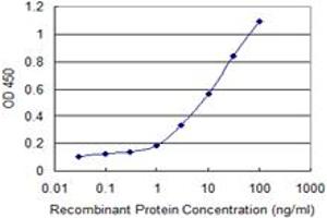 Detection limit for recombinant GST tagged UBL4B is 0. (UBL4B 抗体  (AA 1-174))