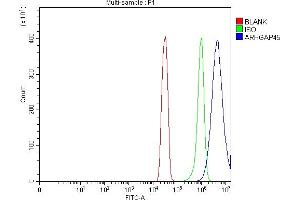 Flow Cytometry analysis of SiHa cells using anti-ARHGAP45 antibody (ABIN7599740). (HMHA1 抗体  (AA 111-349))