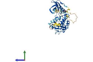 Protein Structure (PS) image for Mitogen-Activated Protein Kinase-Activated Protein Kinase 3 (MAPKAPK3) (AA 1-384) protein (His tag) (ABIN7563735)
