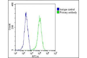 Overlay histogram showing Hela cells stained with (ABIN6243063 and ABIN6578802)(green line). (BIRC6 抗体  (AA 4810-4844))