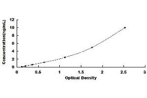 Typical standard curve (ARL1 ELISA 试剂盒)