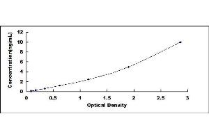 Typical standard curve (SLC7A10 ELISA 试剂盒)