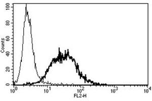 Flow Cytometry (FACS) image for anti-Mast/stem Cell Growth Factor Receptor (KIT) antibody (PE) (ABIN1105765) (KIT 抗体  (PE))
