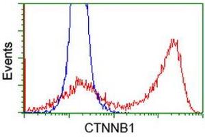 HEK293T cells transfected with either RC208947 overexpress plasmid (Red) or empty vector control plasmid (Blue) were immunostained by anti-CTNNB1 antibody (ABIN2454169), and then analyzed by flow cytometry. (CTNNB1 抗体)