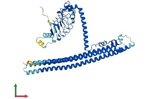 Protein Structure (PS) image for EPS8-Like 1 (EPS8L1) (AA 1-523) protein (His tag) (ABIN7561012)