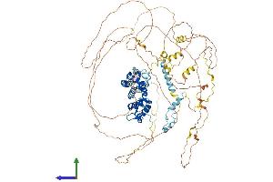 Protein Structure (PS) image for Protein Phosphatase 1, Regulatory (Inhibitor) Subunit 10 (PPP1R10) (AA 1-888) protein (His tag) (ABIN7564277)