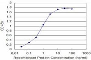 Detection limit for recombinant GST tagged FADD is approximately 0. (FADD 抗体  (AA 109-208))
