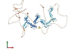 Protein Structure (PS) image for CCCTC-Binding Factor (Zinc Finger Protein)-Like (CTCFL) (AA 1-663) protein (His tag) (ABIN7553561)
