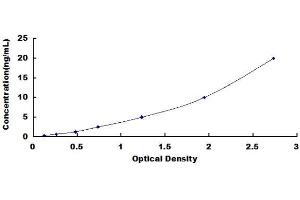 Typical standard curve (CSTA ELISA 试剂盒)