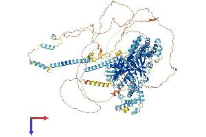 AlphaFold protein structure predicition of Mouse Recombinant Efcab5 Protein, UniprotID A0JP43