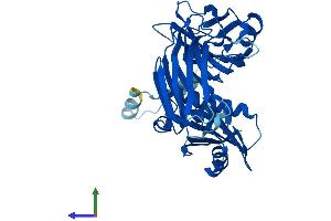 AlphaFold protein structure predicition of Mouse Recombinant Ap3m2 Protein, UniprotID Q8R2R9