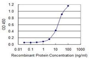 Detection limit for recombinant GST tagged ALDH1L1 is 0. (ALDH1L1 抗体  (AA 803-902))