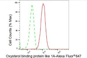 Flow cytometric analysis of Oxysterol binding protein like 1A expression in HT- cells using Oxysterol binding protein like 1A antibody (ABIN7799716), 1:2,000). (Recombinant OSBPL1A 抗体)