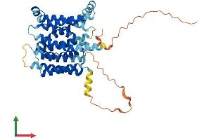 Protein Structure (PS) image for Solute Carrier Family 35 (UDP-Galactose Transporter), Member A2 (SLC35A2) (AA 1-390) protein (His tag) (ABIN7556189)