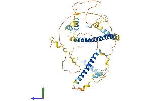 AlphaFold protein structure predicition of Mouse Recombinant Fsip1 Protein, UniprotID Q9D3V5