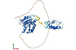 AlphaFold protein structure predicition of Human Recombinant KTI12 Protein, UniprotID Q96EK9